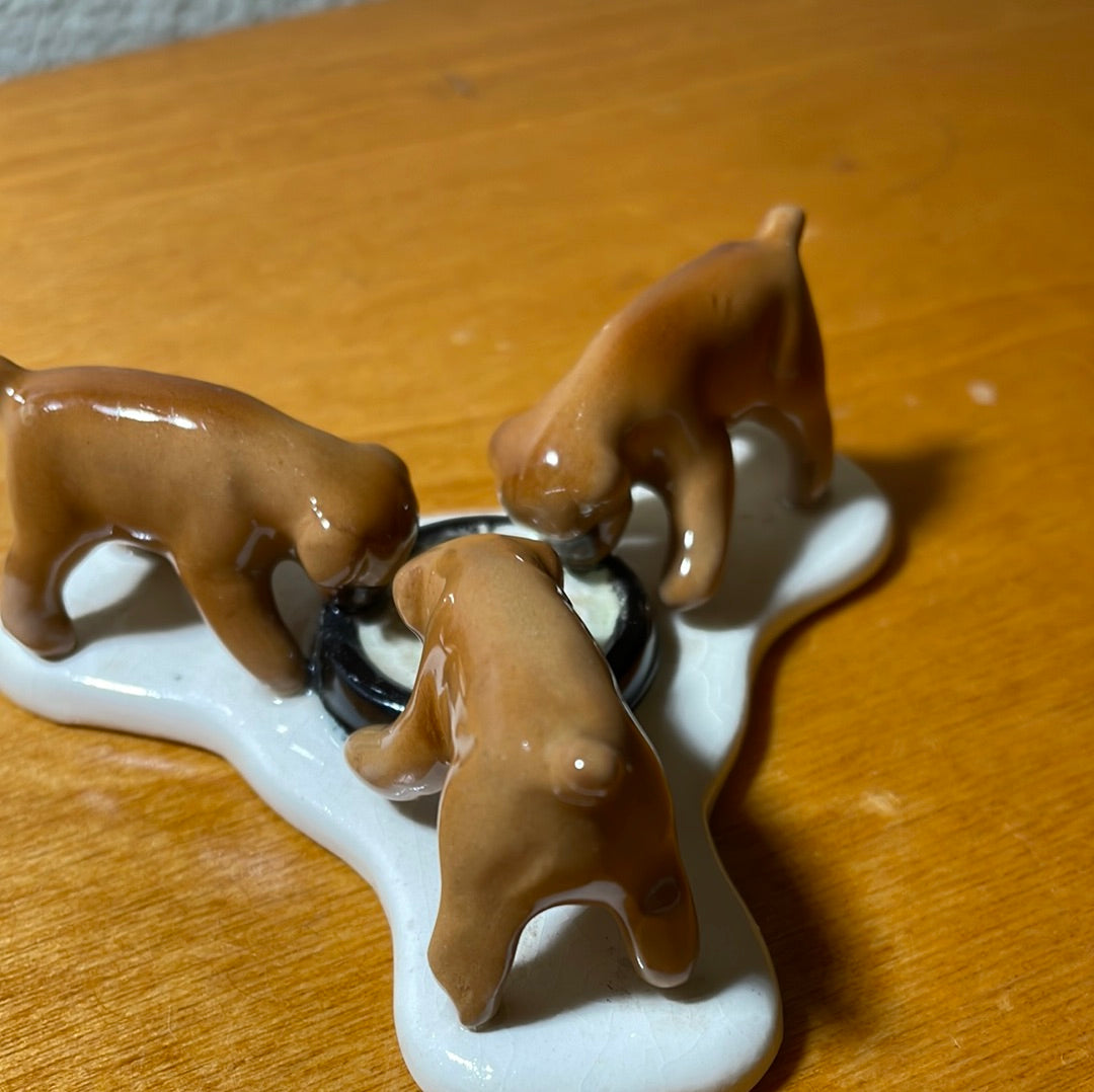 Three Puppies Eating