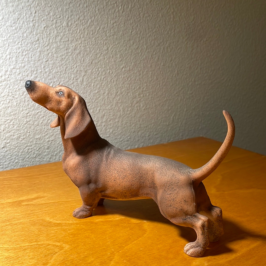 Dachshund Dog - By Andrea Sadek