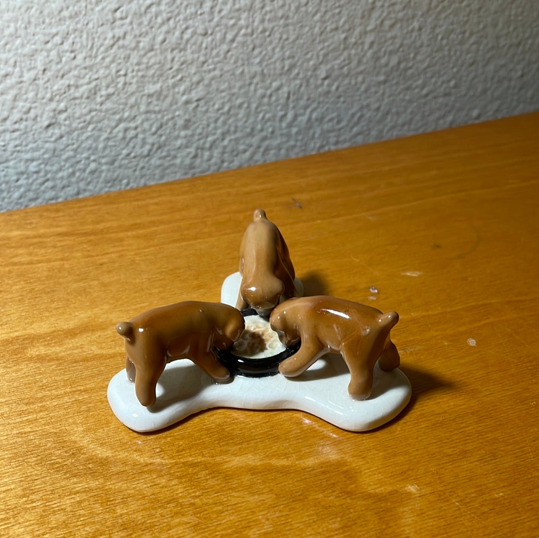 Three Puppies Eating