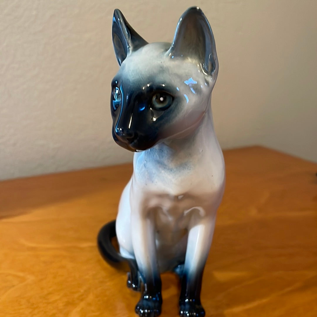 Blue Point Siamese