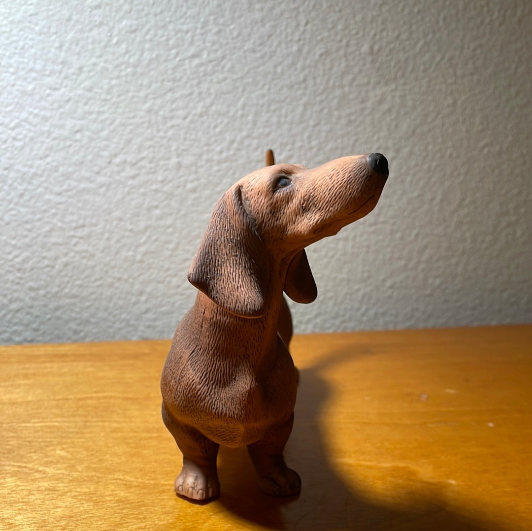 Dachshund Dog - By Andrea Sadek