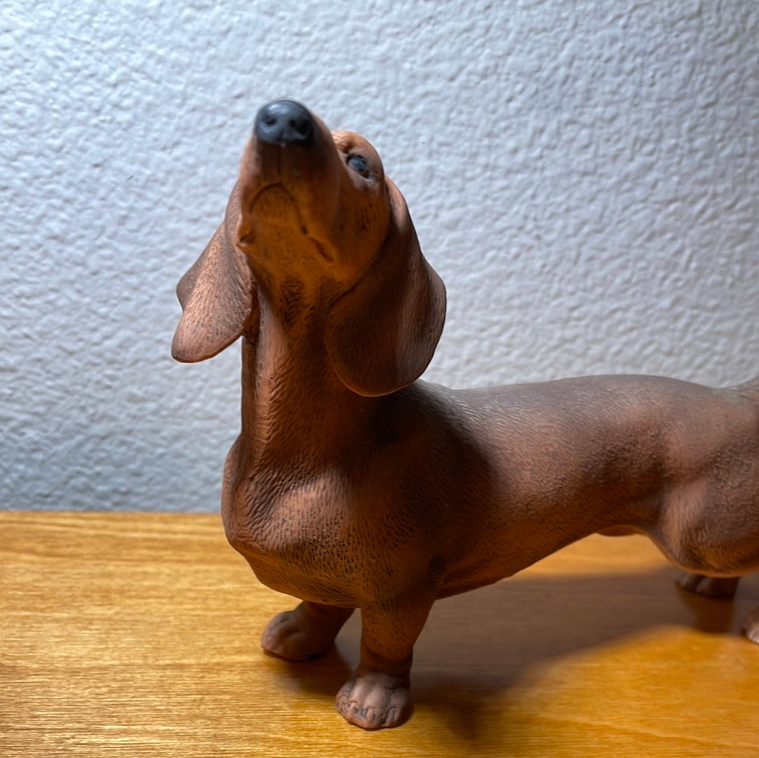 Dachshund Dog - By Andrea Sadek