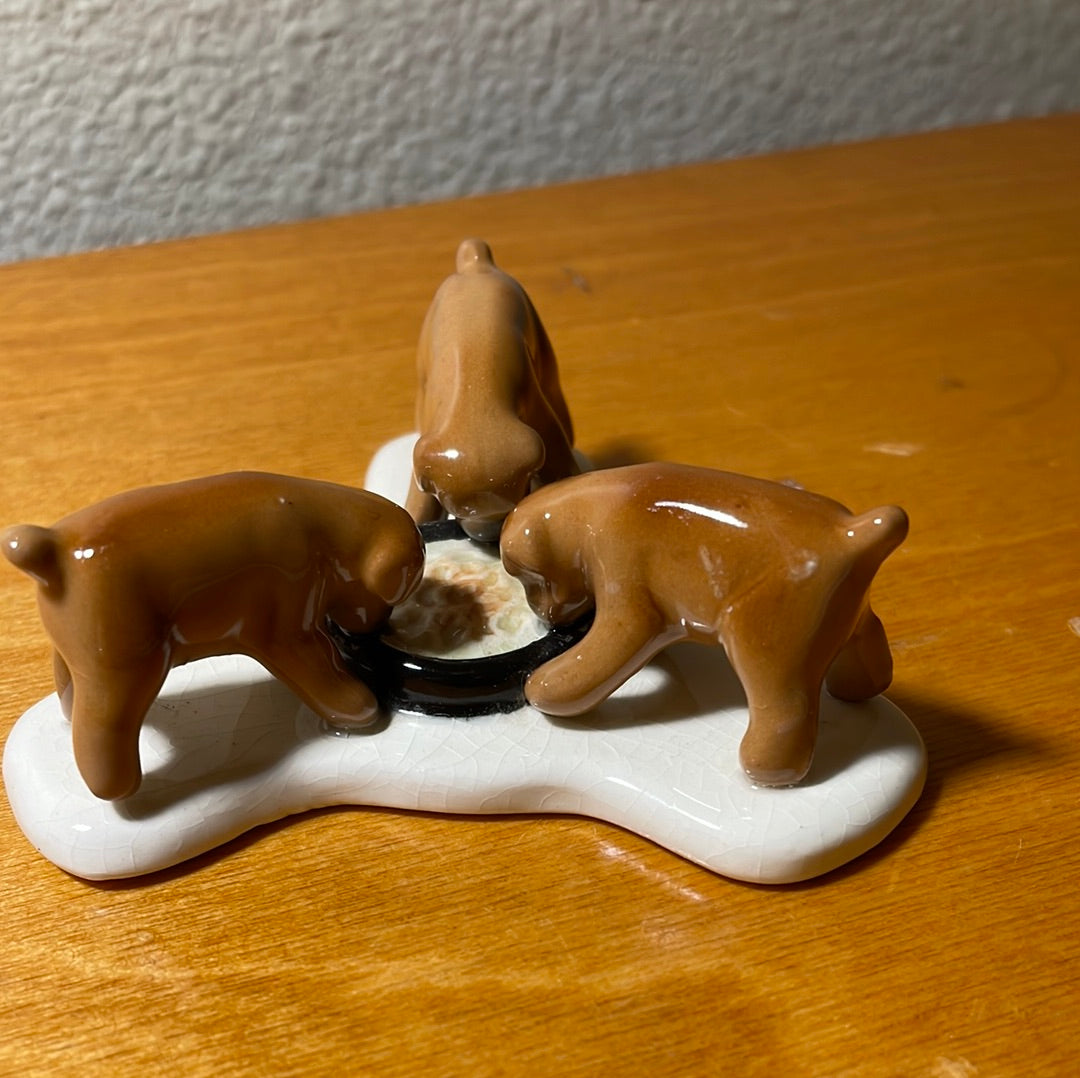 Three Puppies Eating