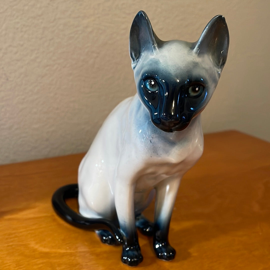 Blue Point Siamese