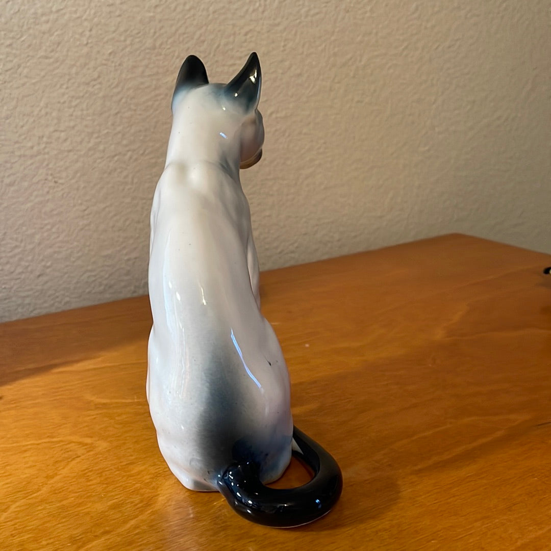 Blue Point Siamese