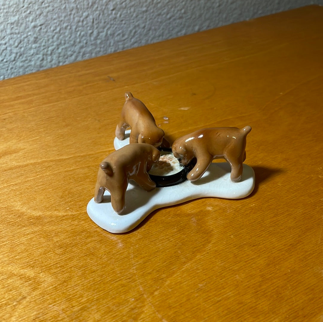 Three Puppies Eating