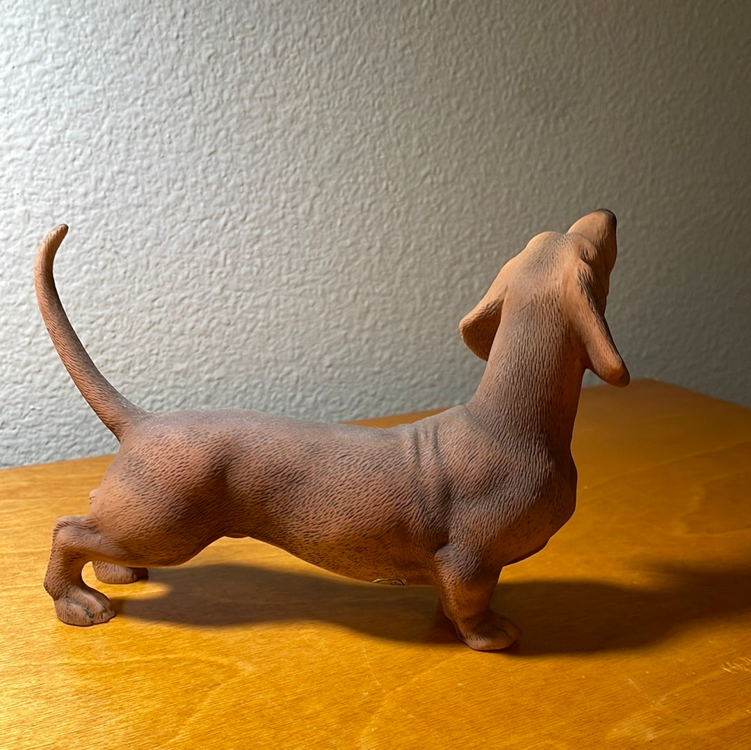 Dachshund Dog - By Andrea Sadek
