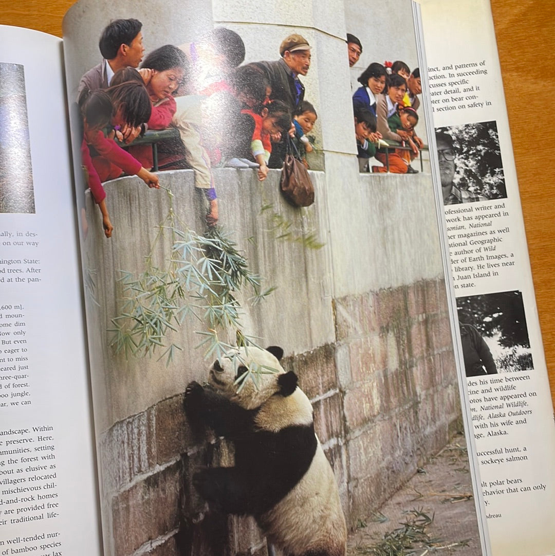 Bears of the World by Terry Domico & Mark Newman