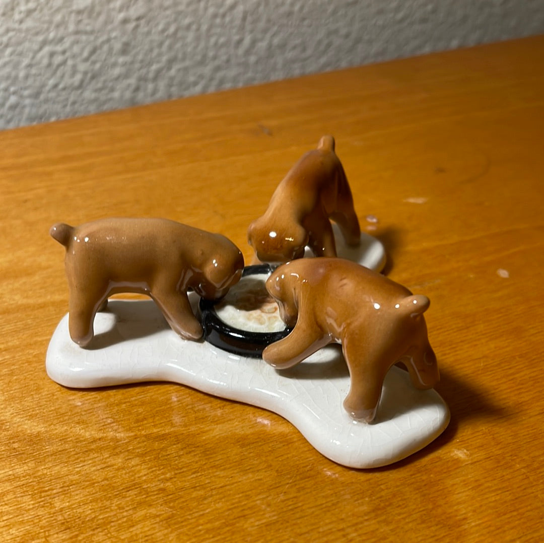 Three Puppies Eating