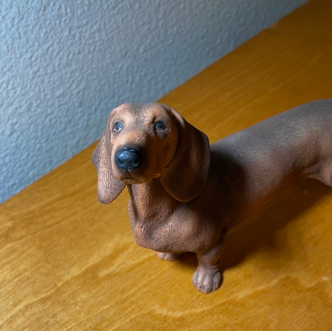 Dachshund Dog - By Andrea Sadek