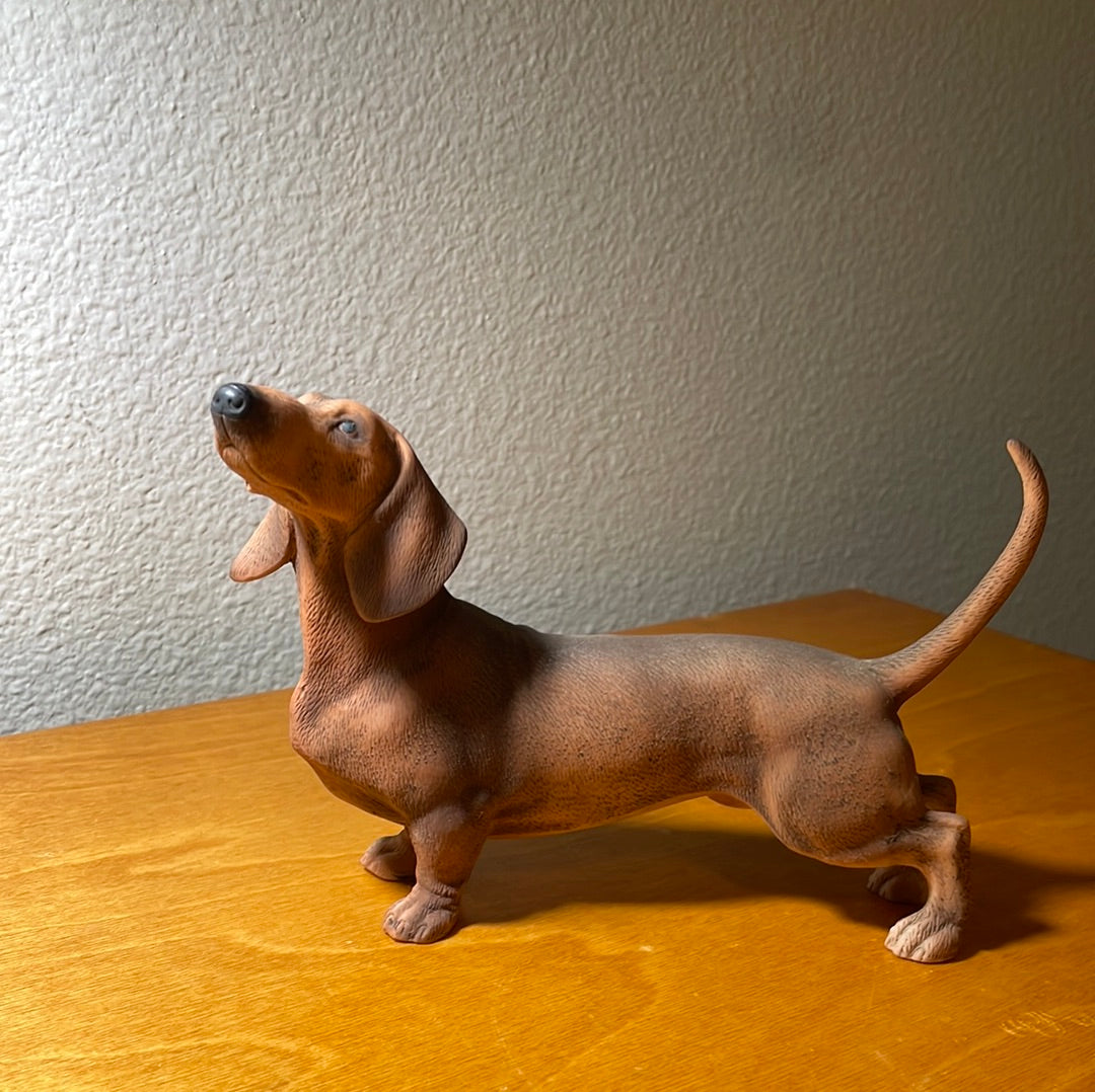 Dachshund Dog - By Andrea Sadek