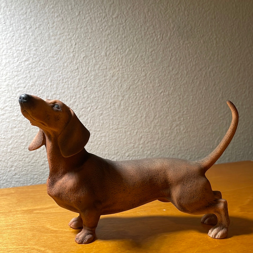 Dachshund Dog - By Andrea Sadek