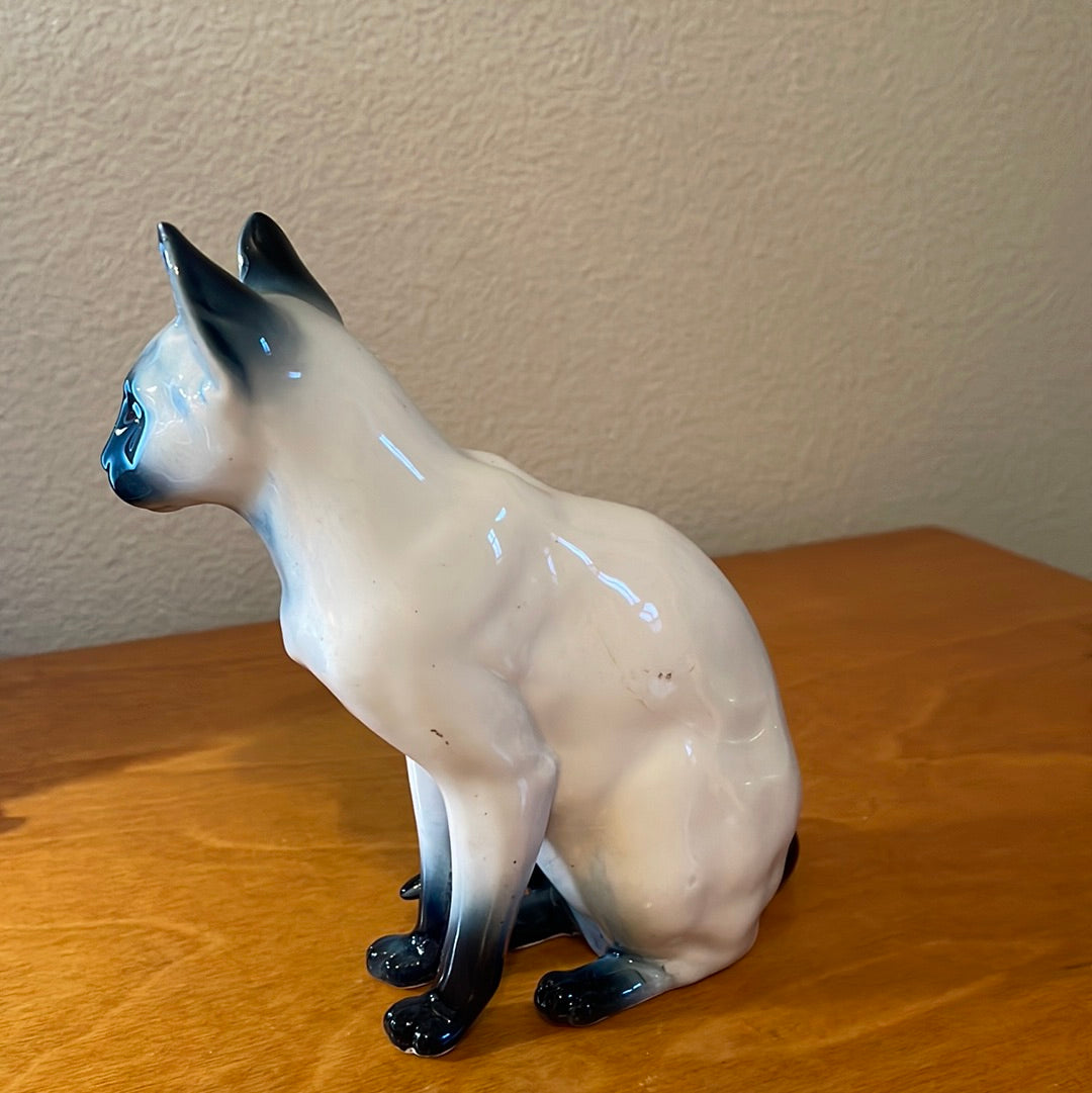 Blue Point Siamese