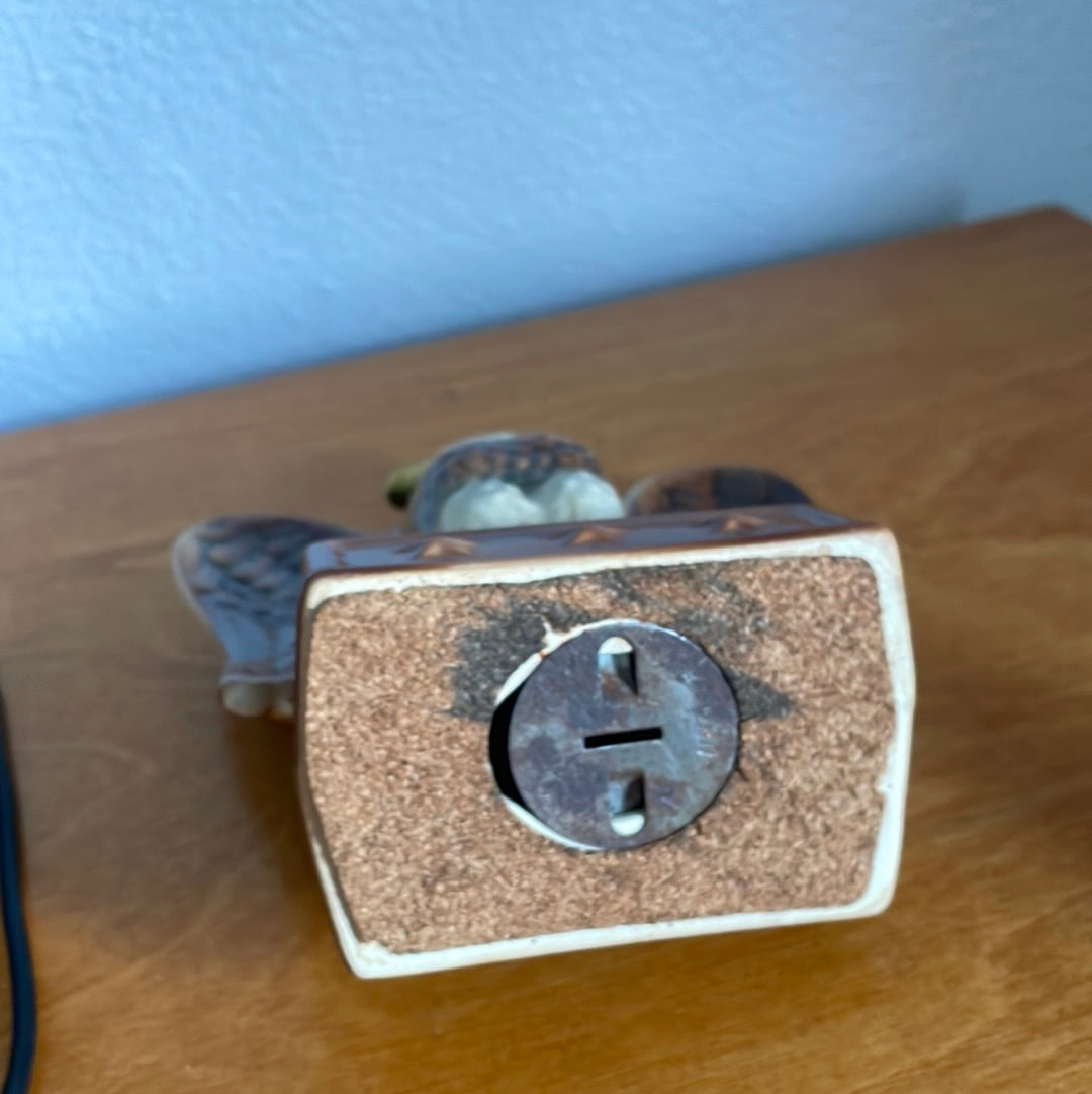 Eagle Coin Bank.