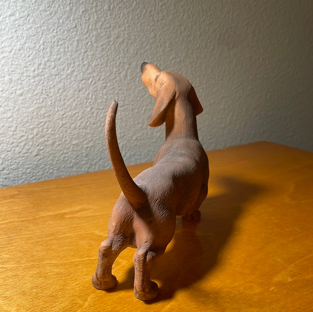 Dachshund Dog - By Andrea Sadek