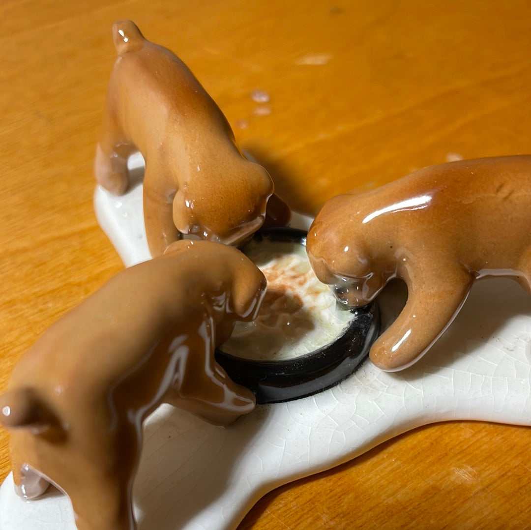 Three Puppies Eating