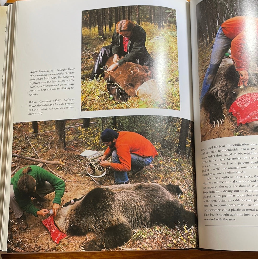 Bears of the World by Terry Domico & Mark Newman