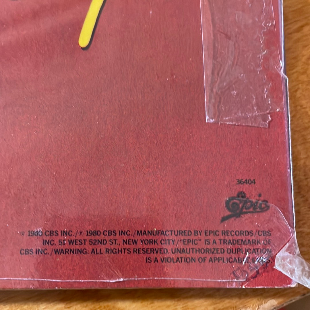 Ted Nugent 1979 Vinyl Record - State Of Shock