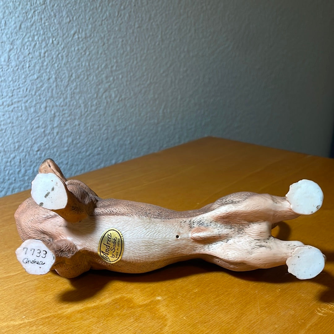 Dachshund Dog - By Andrea Sadek