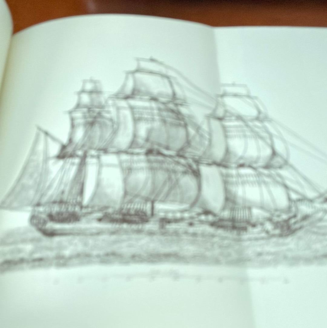 A Nest Of Rebel Pirates