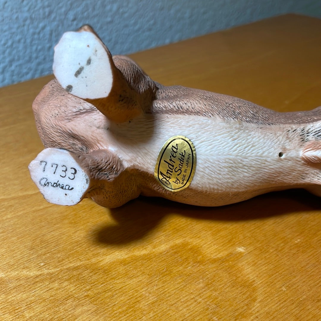 Dachshund Dog - By Andrea Sadek