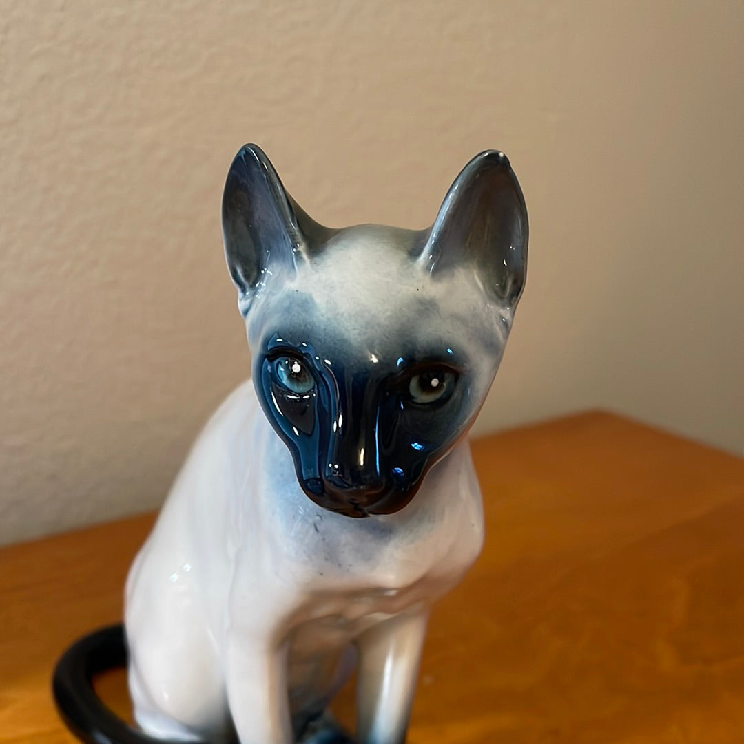 Blue Point Siamese