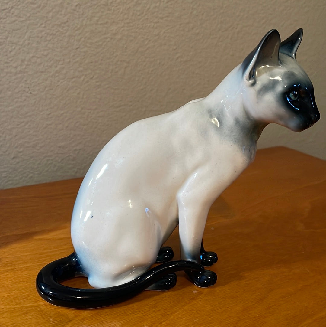 Blue Point Siamese