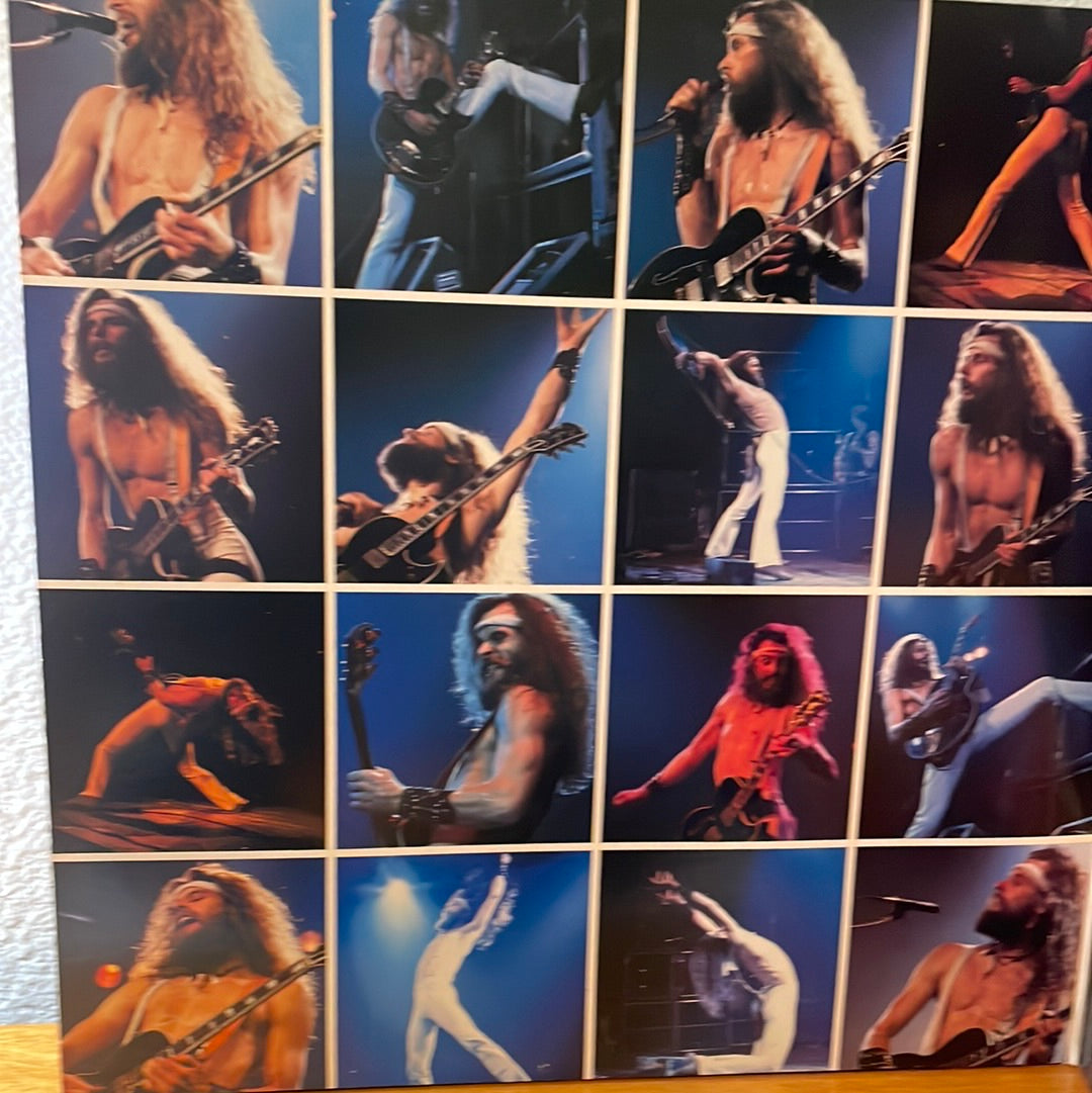 Ted Nugent 1978 Vinyl Record - Double Live "Gonzo!"