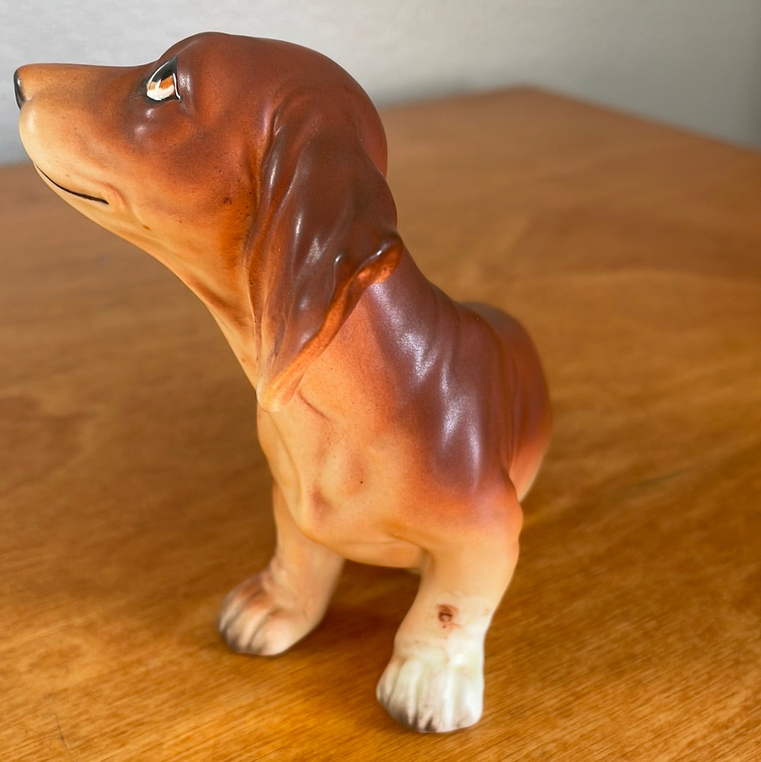 Dachshund Dog - By Andrea Sadek – Mima's Shop