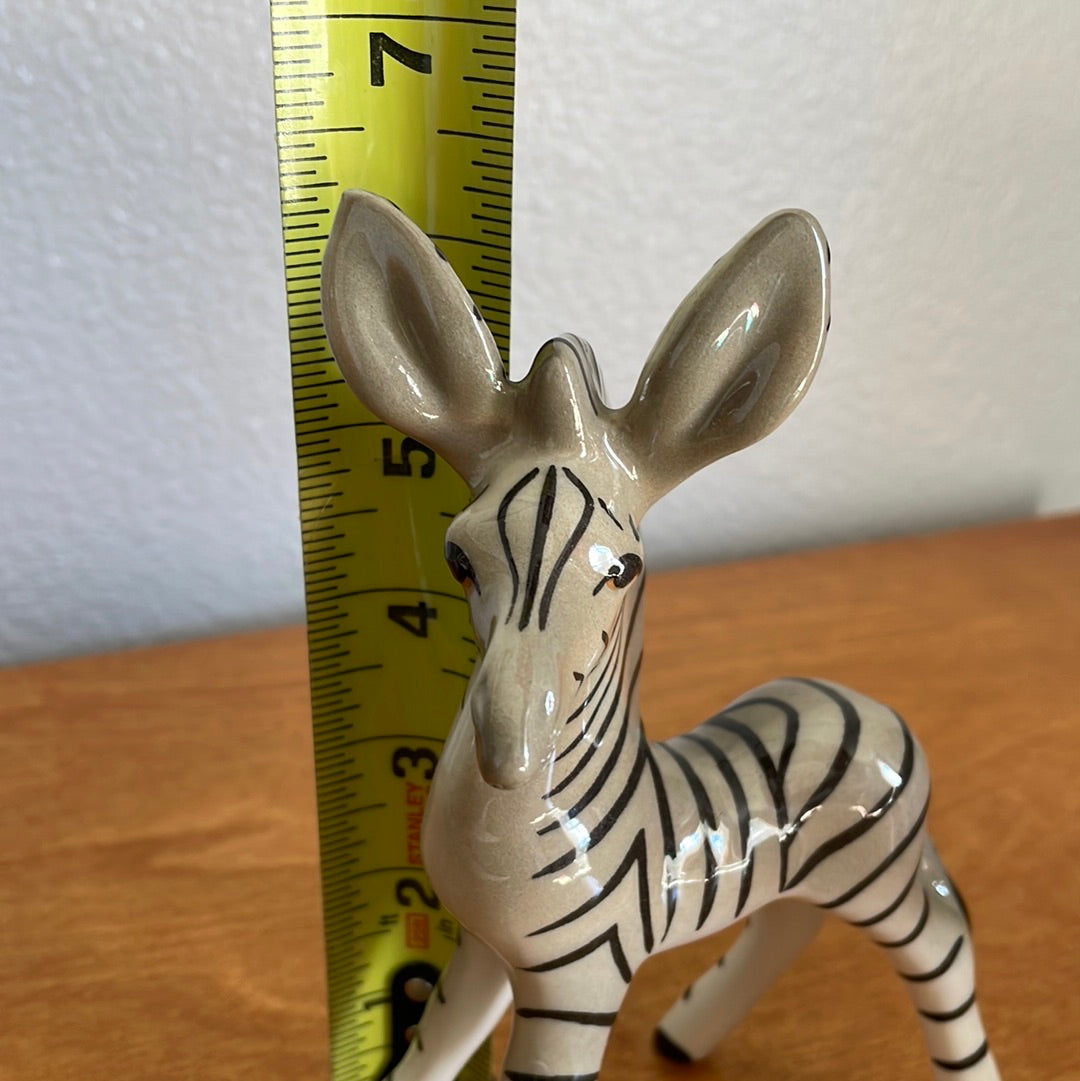 Baby Zebra Porcelain